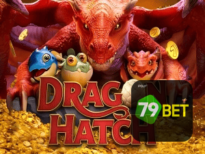 79BET PIX instantâneo Brasil - Depósito e saque em minutos 24/7